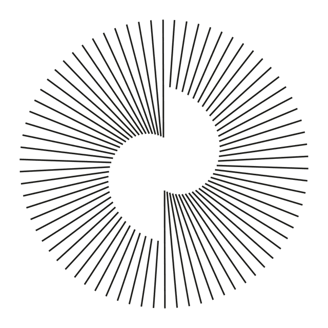 spin-image
